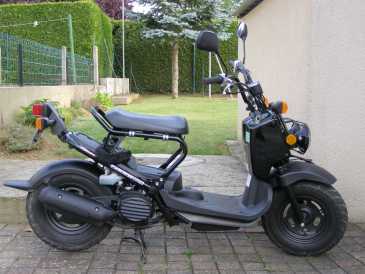 Photo: Sells Scooter 50 cc - HONDA - ZOOMER