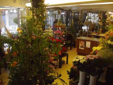 Photo: Sells Shop 100 m2 (1,076 ft2)