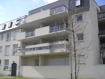 Photo: Rents 1 bedroom apartment 45 m2 (484 ft2)