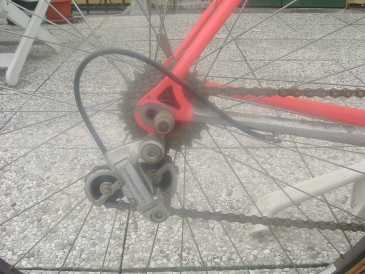 Photo: Sells Bicycle CITROEN