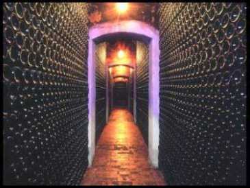 Photo: Sells Wines Spain - Rioja