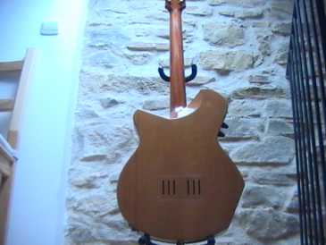 Photo: Sells Guitar POZZO - ELECTROACOUSTIQUE