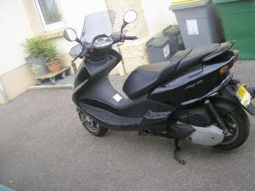 Photo: Sells Scooter 125 cc - YAMAHA - MAJESTY