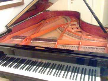 Photo: Sells Concert grand piano SCHIMMEL