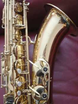 Photo: Sells Saxophone YANAGISAWA - T901