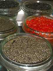 Photo: Sells Gastronomy and cooking CAVIAR