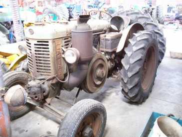 Photo: Sells Agricultural vehicle LANDINI - L 25 TESTA CALDA