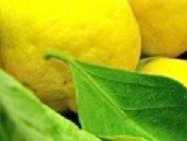Photo: Sells Fruit and vegetable Lemon