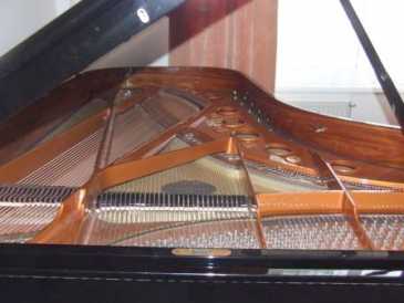 Photo: Sells Concert grand piano SCHIMMEL K256 - SCHIMMEL K 256